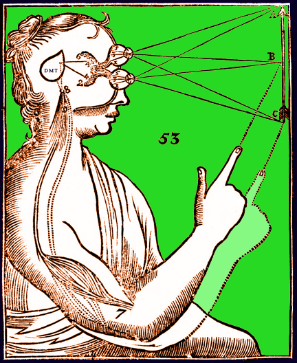 Fluoride: Calcifier of the Soul