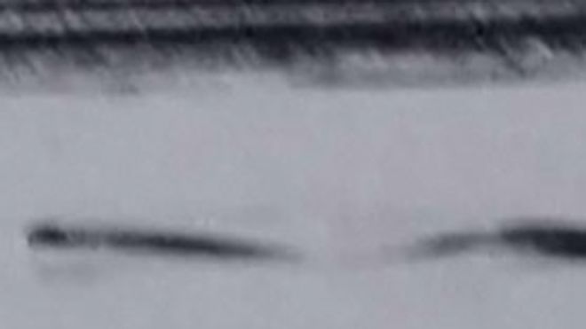 The Loch Ness Monster of Alaska?