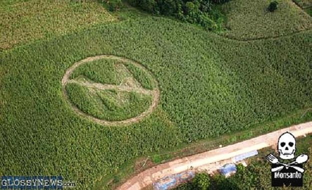 US to Start ‘Trade Wars’ with Nations Opposed to Monsanto, GMO Crops