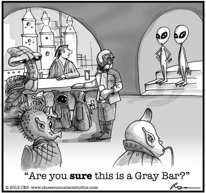 Are you SURE this is a Gray bar?