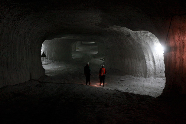 Everything You Wanted to Know About Data Mining