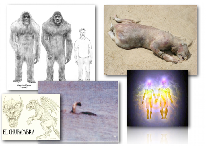 July 30, 2012 – DCMX Radio:  Top & Weekend News, Crypto-Zoology, Un-Explained Creatures, & What Kind of SOUL are you?