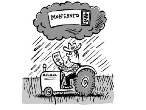 The Multiple Ways Monsanto is Putting Normal Seeds Out of Reach