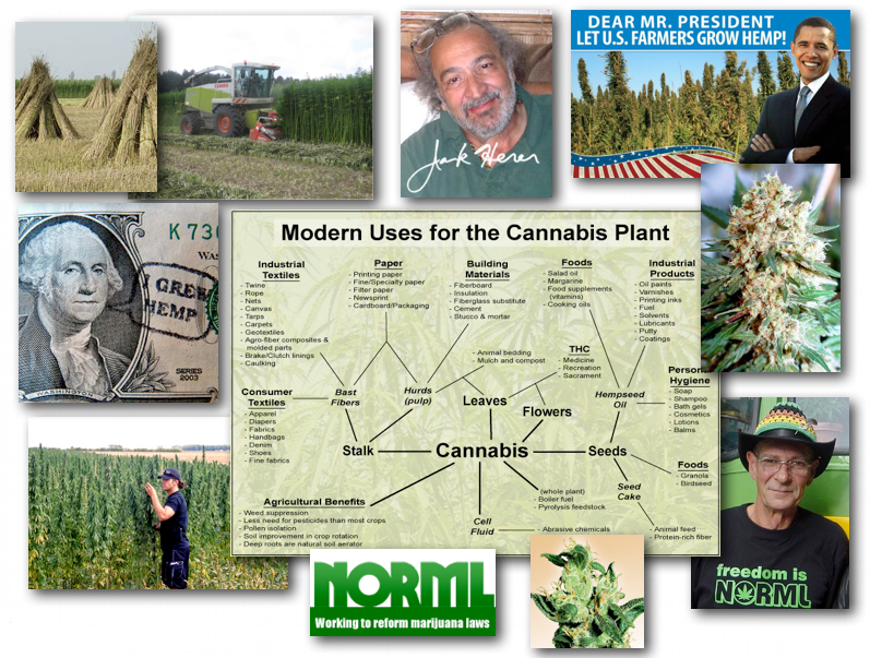 August 31, 2012 – DCMX Radio: Cannabis, Hemp, Marijuana: The Eco-Super-Plant and its Threat to the Profit Driven Synthetics Industry