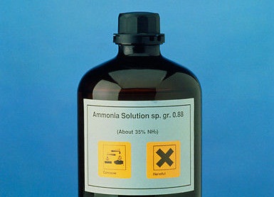 10 Foods with More Ammonia than Pink Slime