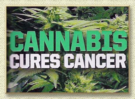 Marijuana And Cancer: Scientists Find Cannabis Compound Stops Metastasis In Aggressive Cancers