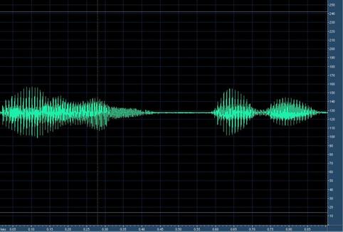 Biometric Voice-Identification Technology Leads to Arrests of Terrorist Suspects in Europe