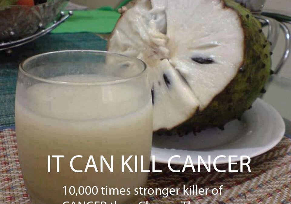 Cancer Killer: Sour Sop Fruit 10,000 Times Stronger Than Chemo-Therapy