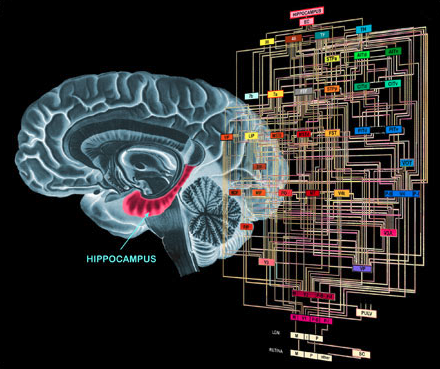 Billion Dollar Race: Soviet Union vs US in ‘Mind Control Research’