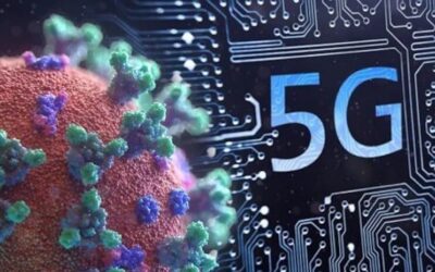 5G Facts Breakdown – Independent Research